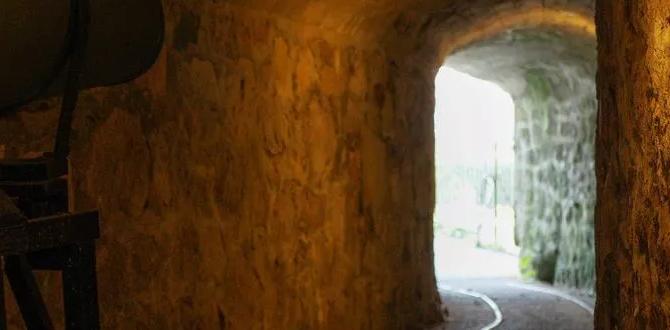 historic coastal rail tunnels in Cornwall