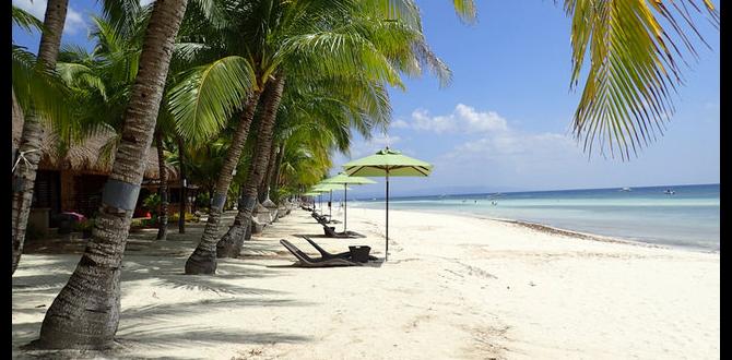 island hopping guide in the Philippines Visayas island hopping guide in the Philippines Visayas