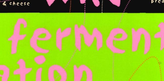 least crowded wild berry fermentation temples least crowded wild berry fermentation temples