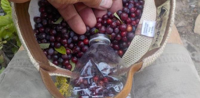 least crowded wild berry picking locations least crowded wild berry picking locations