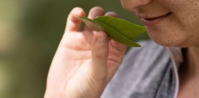 least crowded wild herb picking spots least crowded wild herb picking spots