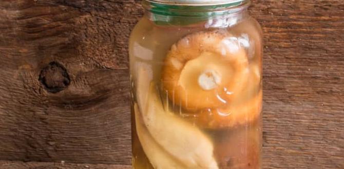 least crowded wild mushroom fermentation temples
