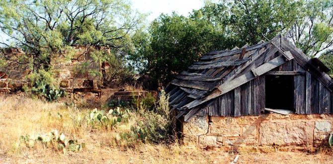 least crowded wild root cellar locations least crowded wild root cellar locations