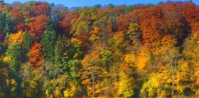 riverside folk music lodges in Appalachia