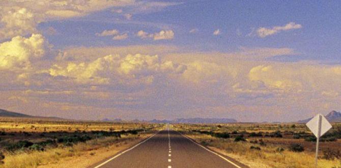 road trip guide through Iceland’s Ring Road