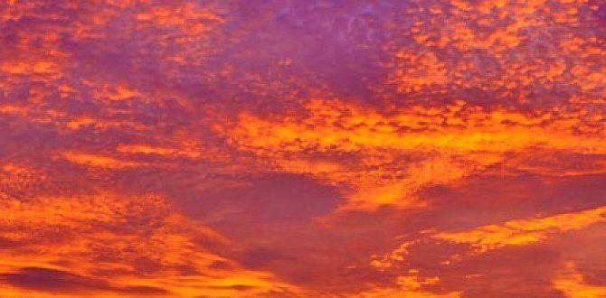 sunset hammocking sites in the Caribbean