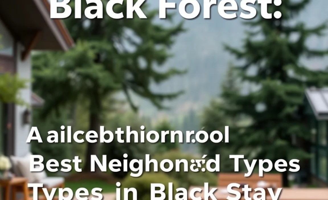 A Look at Accommodation Types in the Black Forest