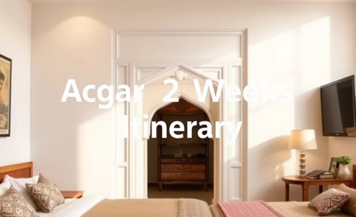 Accommodation Options