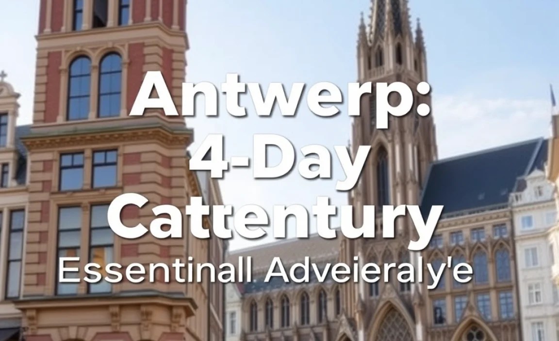 Afternoon: Grote Markt and Cathedral