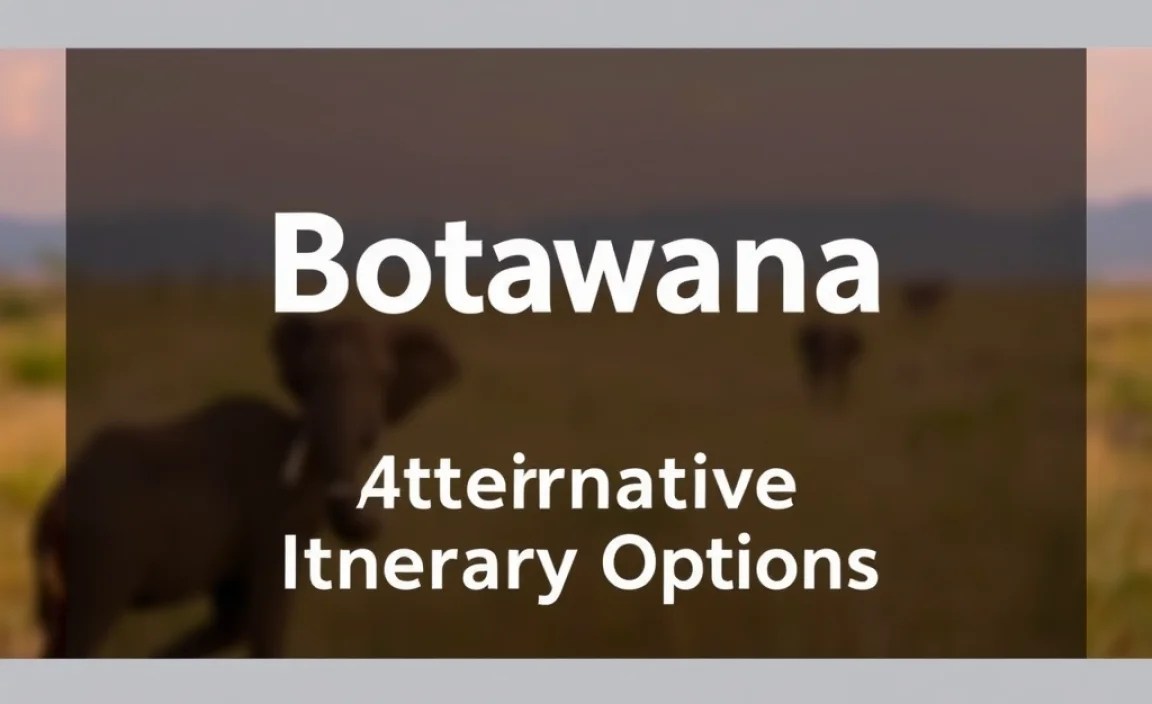 Alternative Itinerary Options