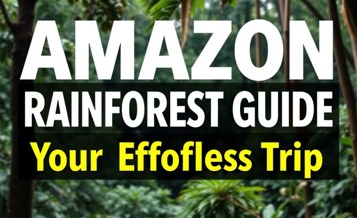 Amazon Rainforest Guide: Your First Effortless Trip