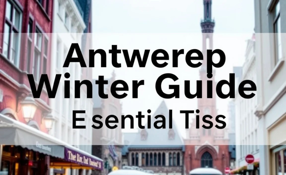 Antwerp Winter Trip Guide: Essential Tips