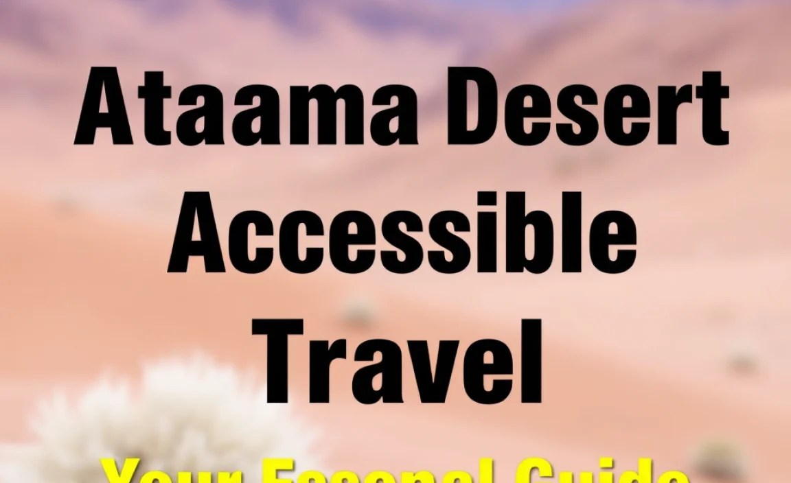 Atacama Desert Accessible Travel: Your Essential Guide