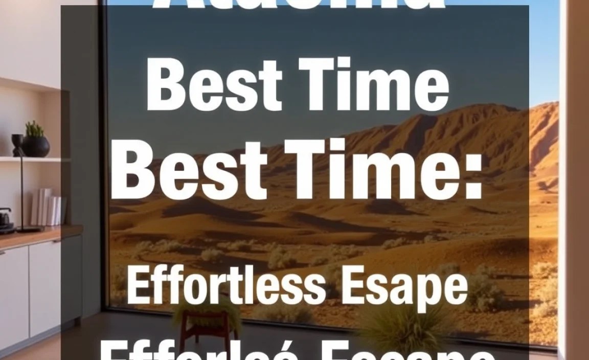 Atacama Desert Best Time: Effortless Escape