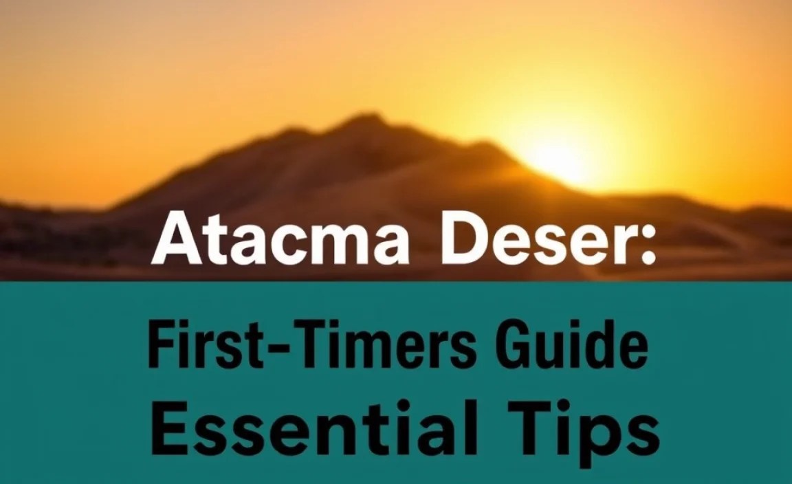 Atacama Desert First-Timers Guide: Essential Tips