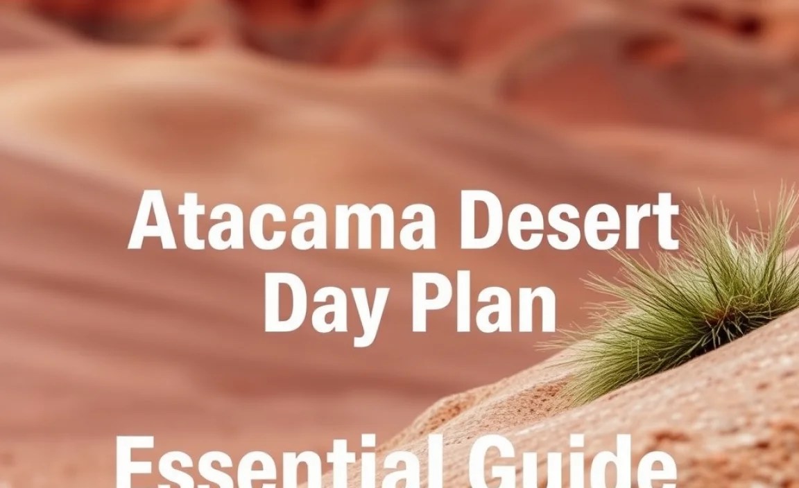 Atacama Desert Rainy Day Plan: Essential Guide