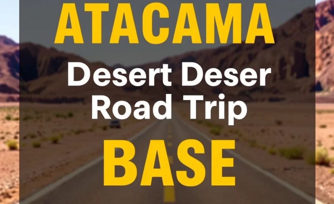 Atacama Desert Road Trip Base: Essential Guide