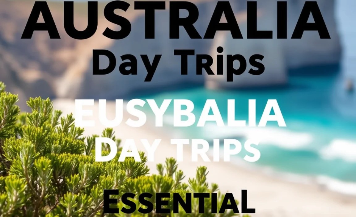 Australia Offbeat Day Trips: Essential Escapes