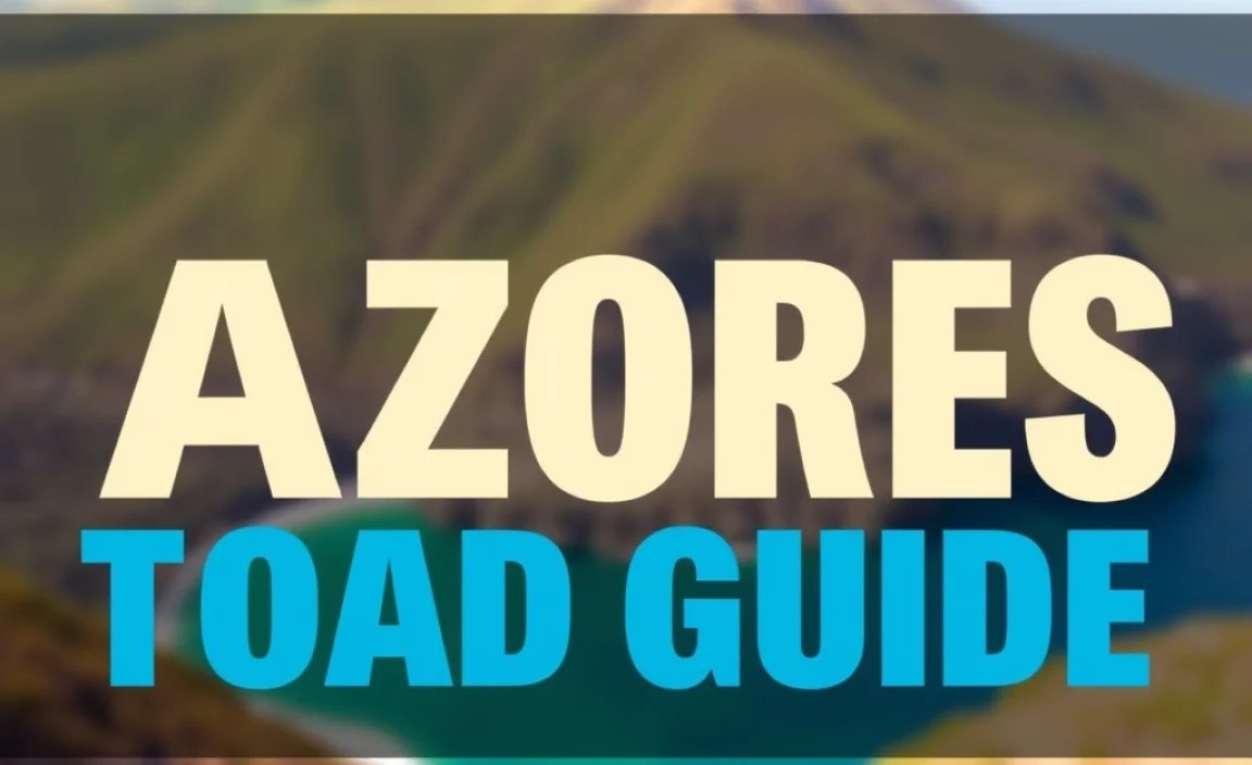 Azores Road Trip Base Guide: Essential Tips