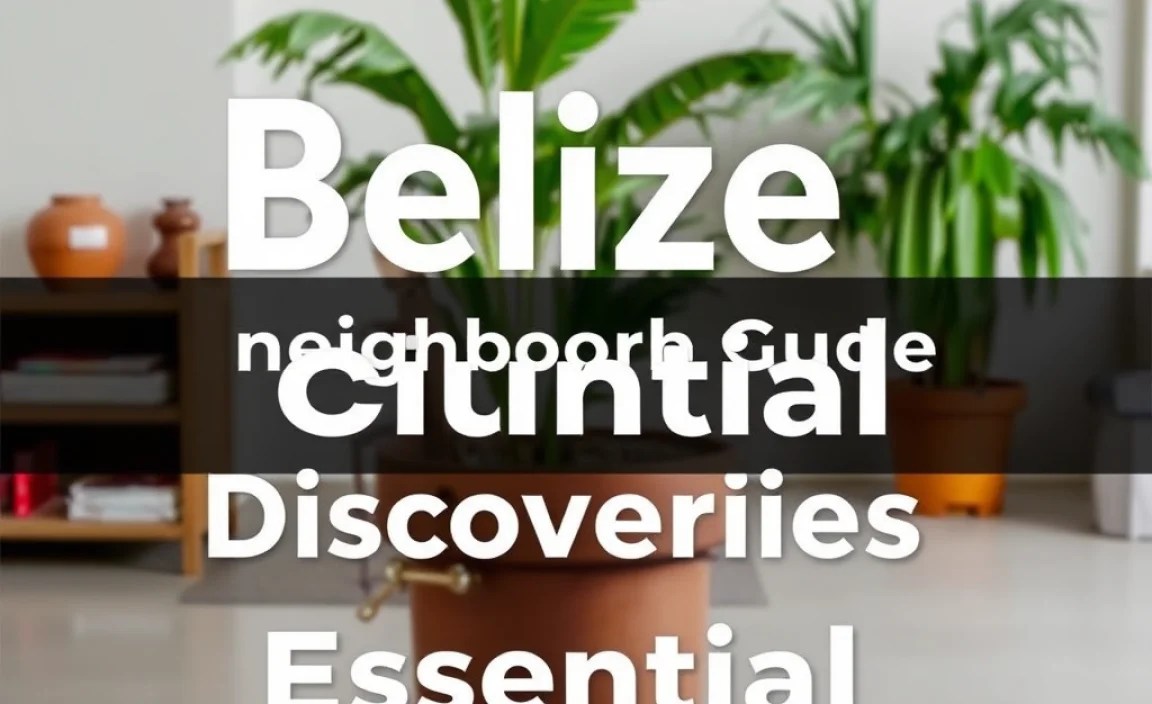 Belize Neighborhood Guide: Essential Discoveries