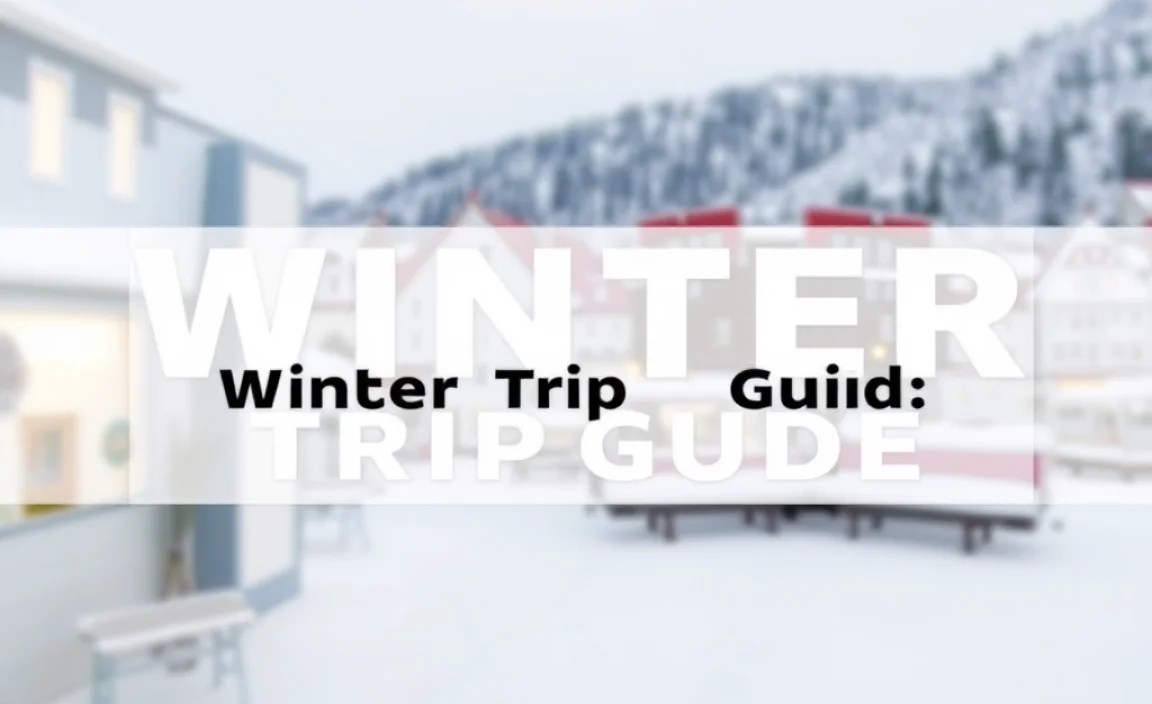 Bergen Winter Trip Guide: Essential Tips