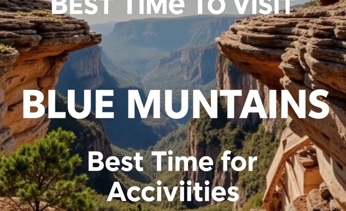 Best Time for Specific Activities