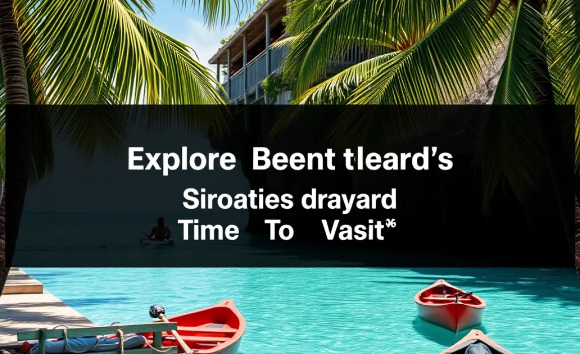 Best Time To Visit