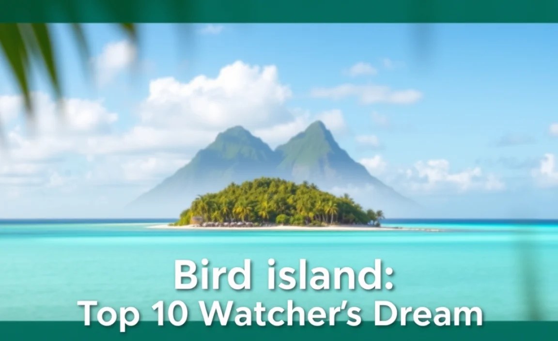 Bird Island: A Bird Watcher’s Dream