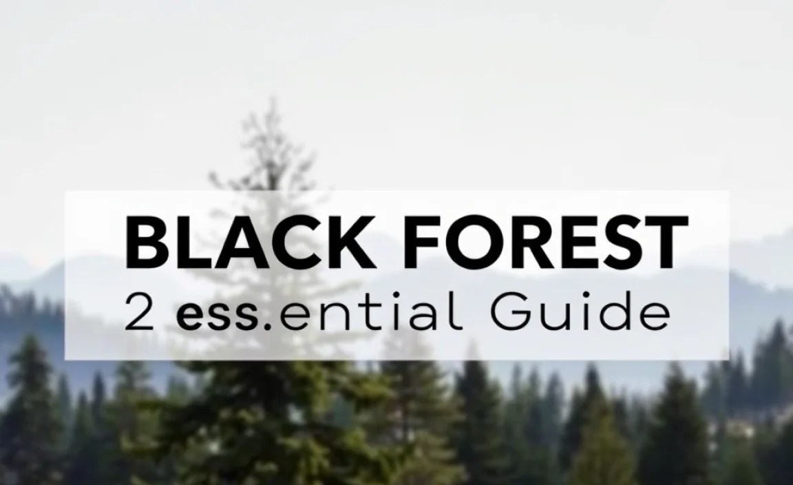 Black Forest 2 Weeks Itinerary: Essential Guide