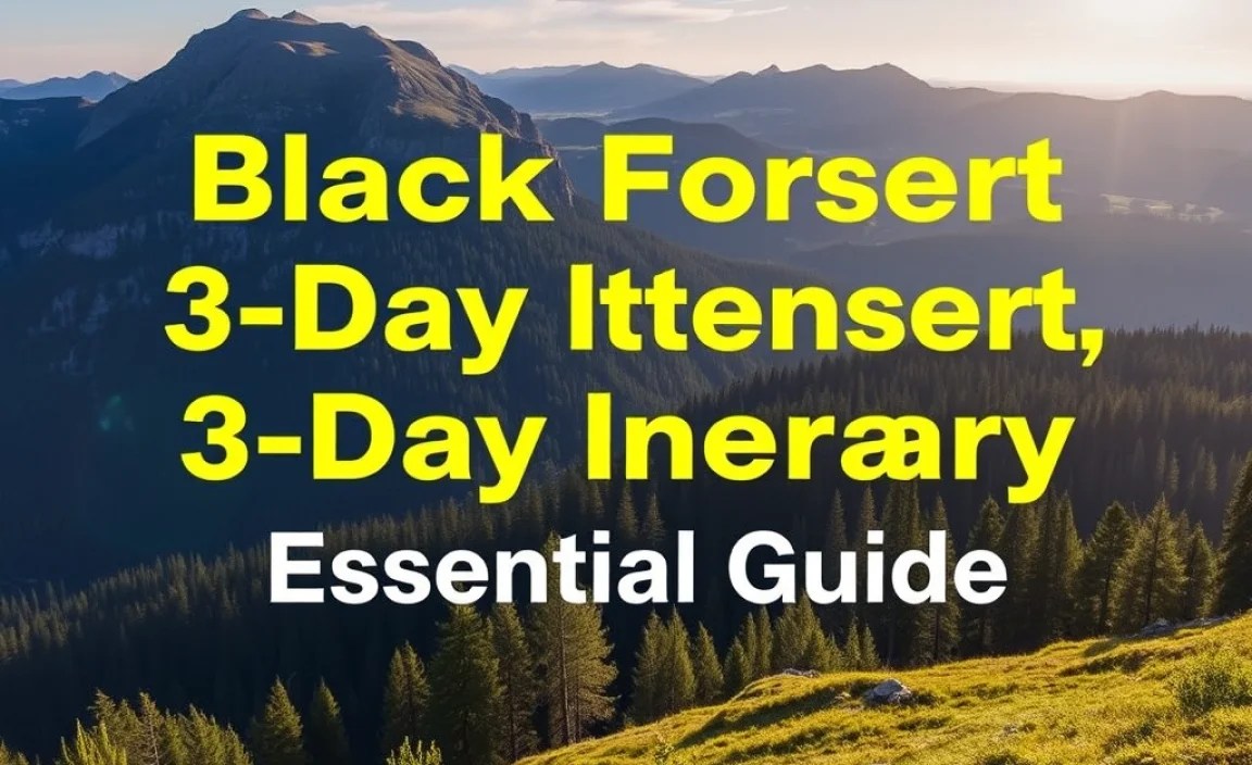 Black Forest 3-Day Itinerary: Essential Guide