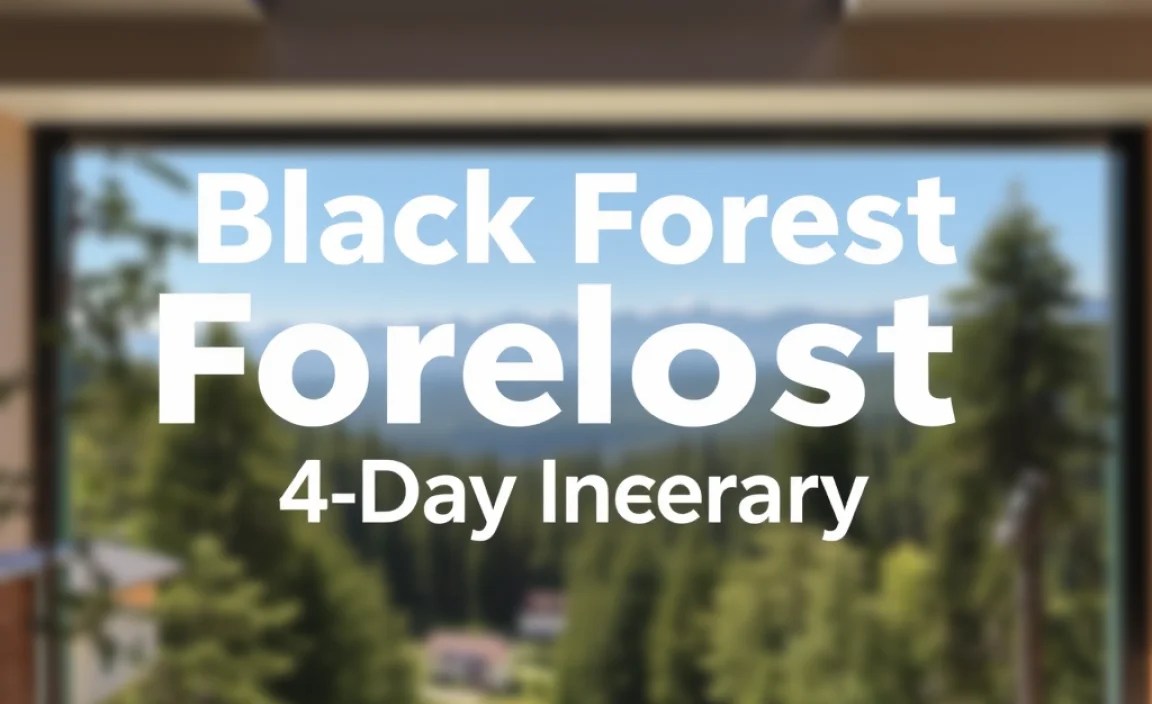 Black Forest 4-Day Itinerary: Essential Guide
