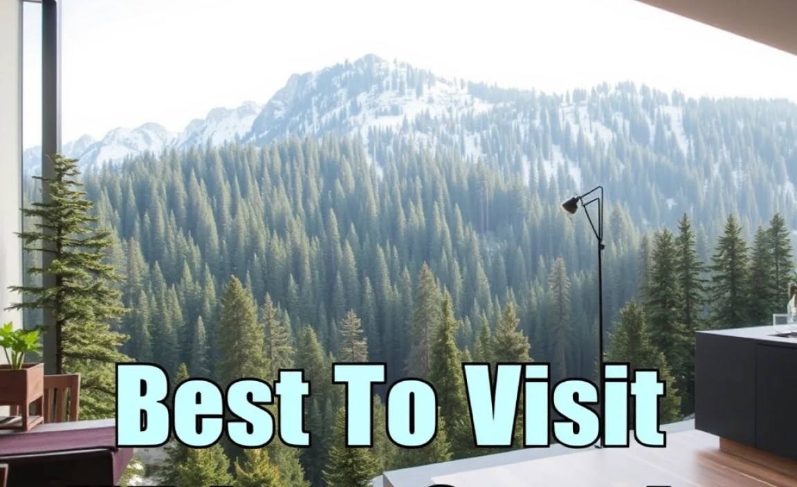 Black Forest: Best Time To Visit Without Crowds