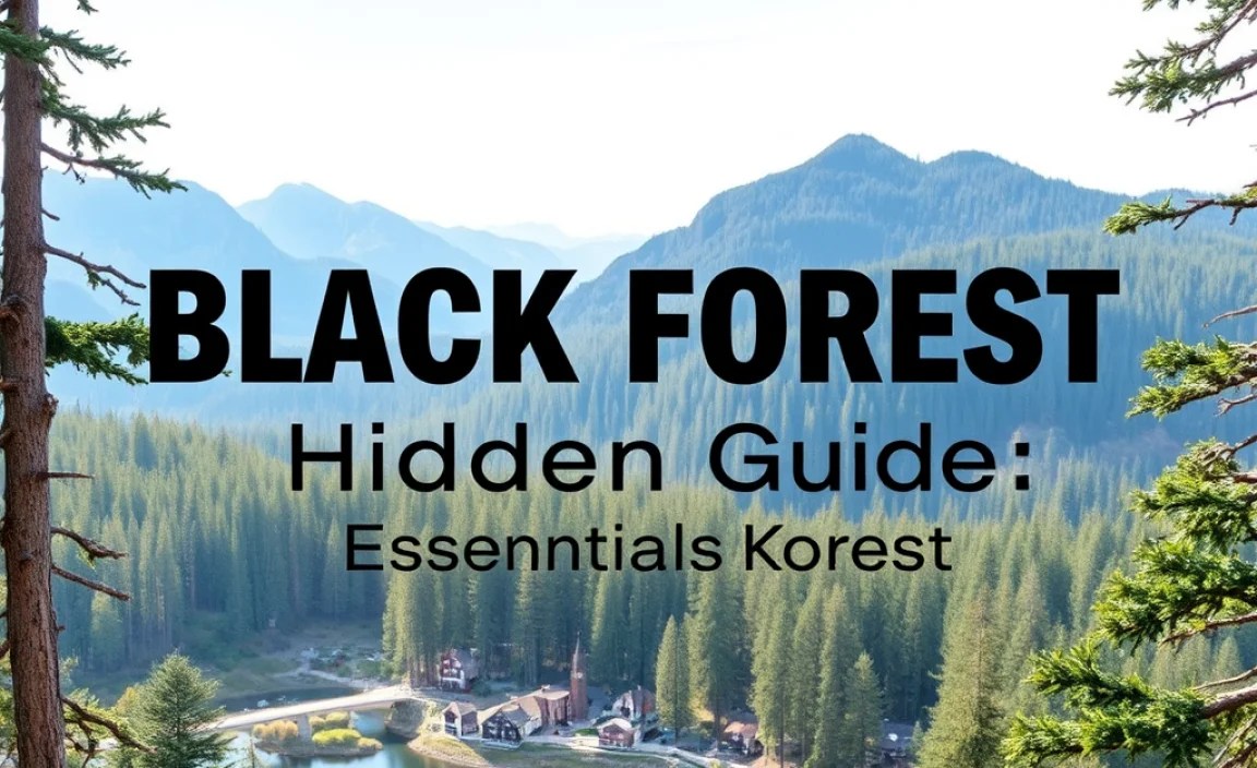 Black Forest Hidden Gems Guide: Essential Discoveries