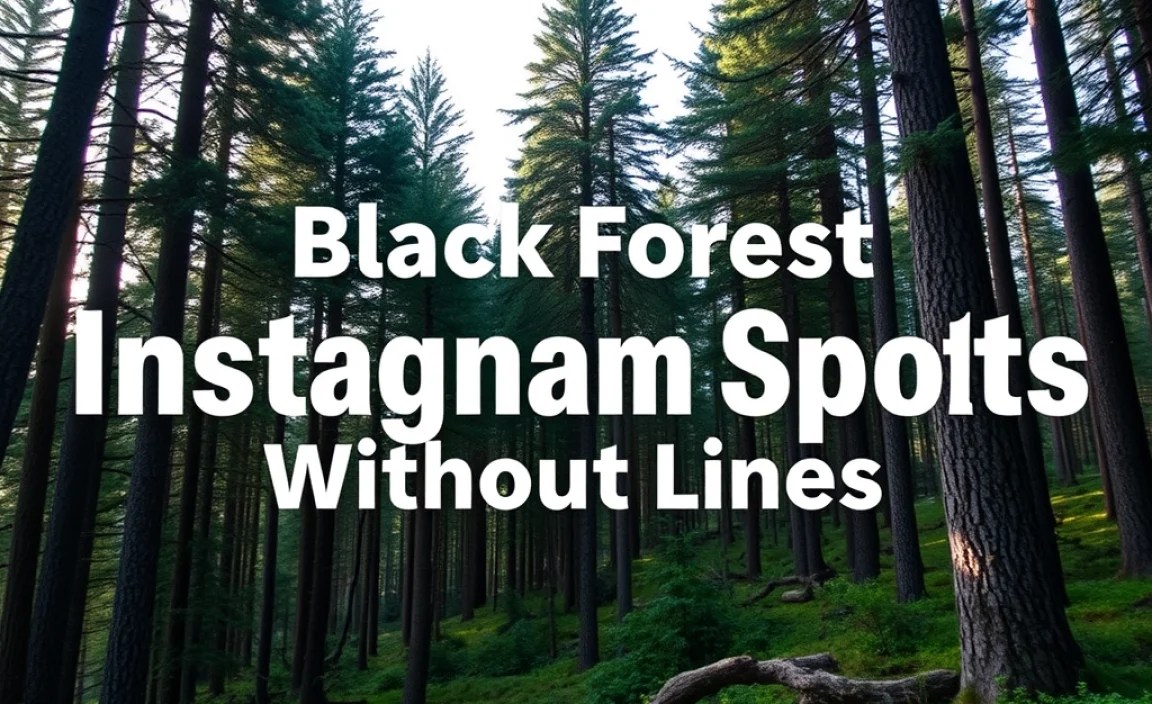 Black Forest Instagram Spots Without Lines: Essential Guide