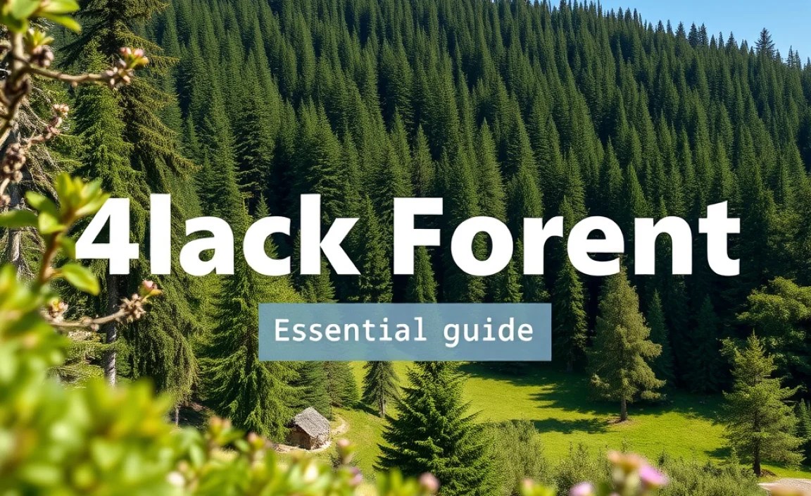Black Forest Itinerary: Day-by-Day Breakdown Table