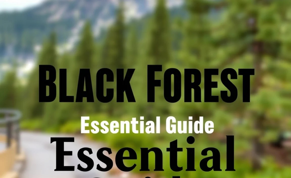 Black Forest Mid-Range Travel: Essential Guide