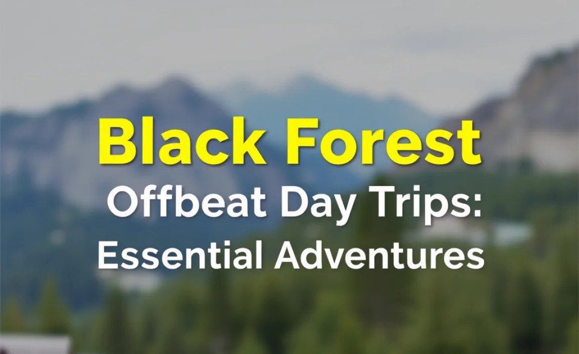Black Forest Offbeat Day Trips: Essential Adventures
