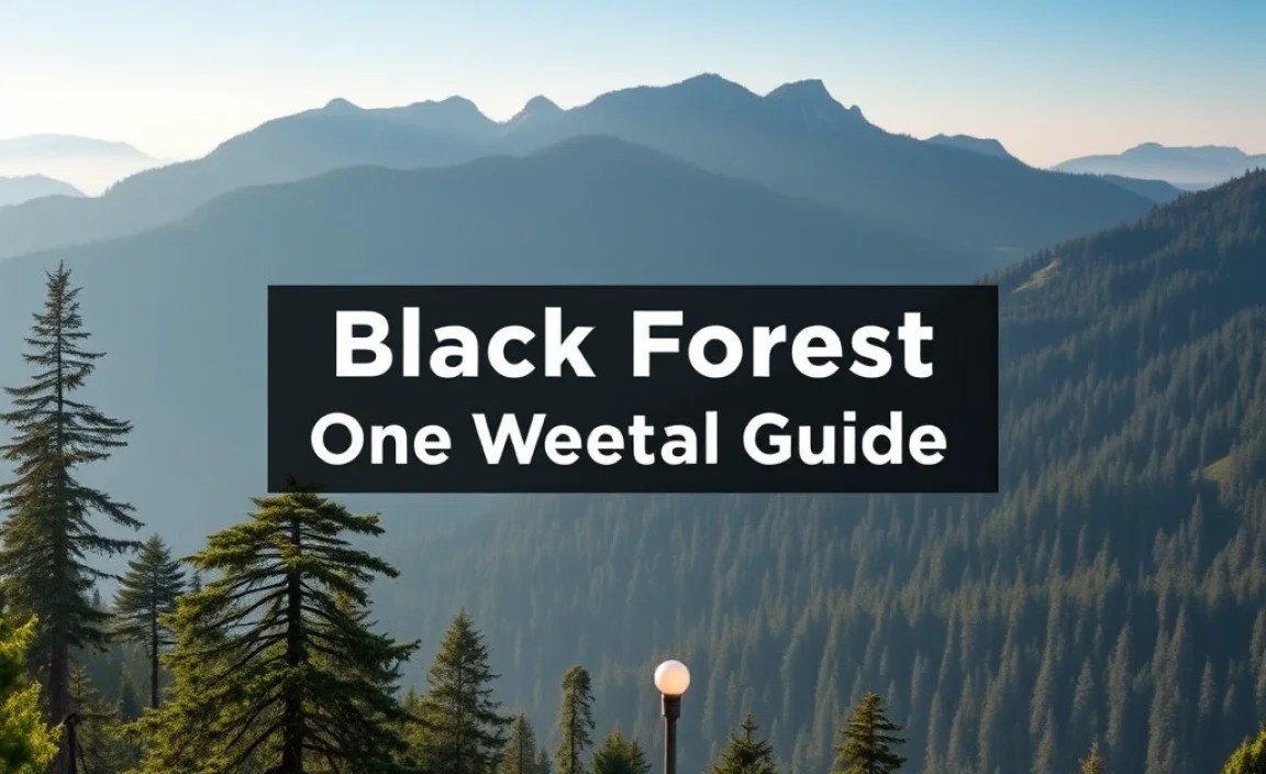 Black Forest One Week Itinerary: Essential Guide