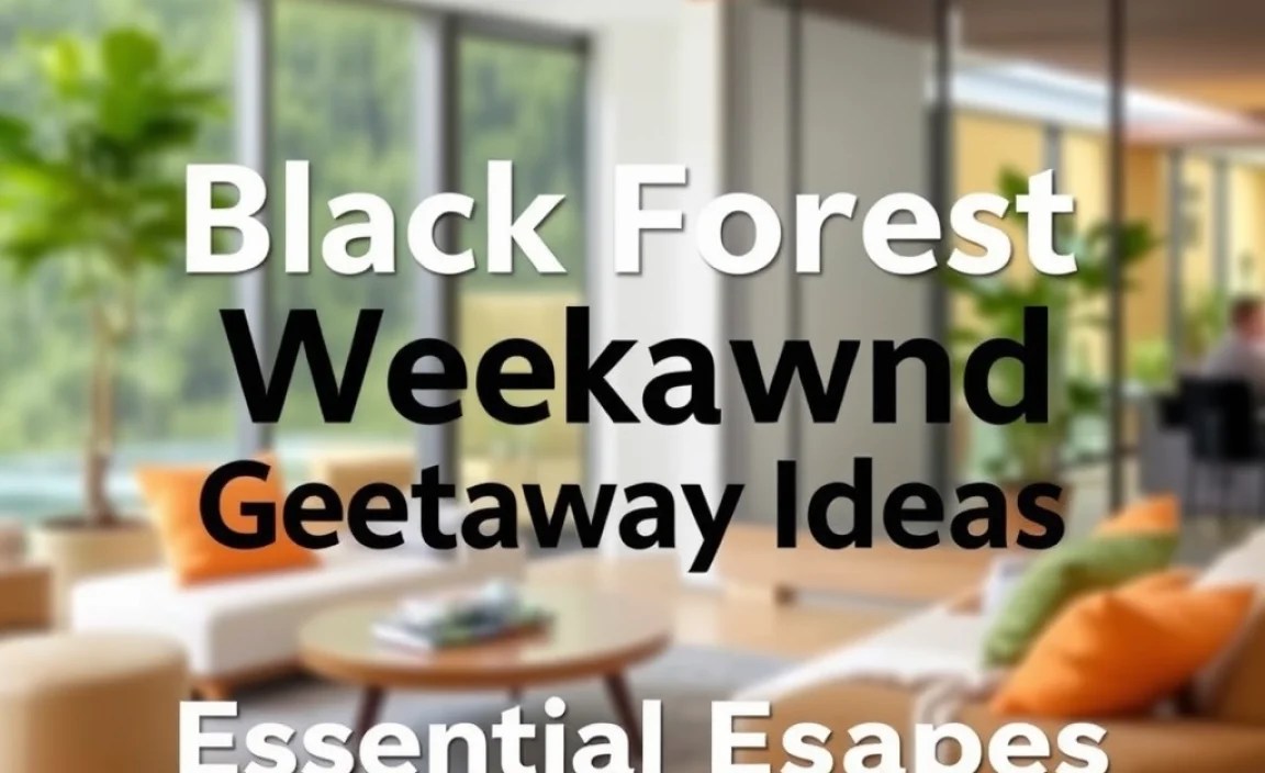 Black Forest Weekend Getaway Ideas: Essential Escapes