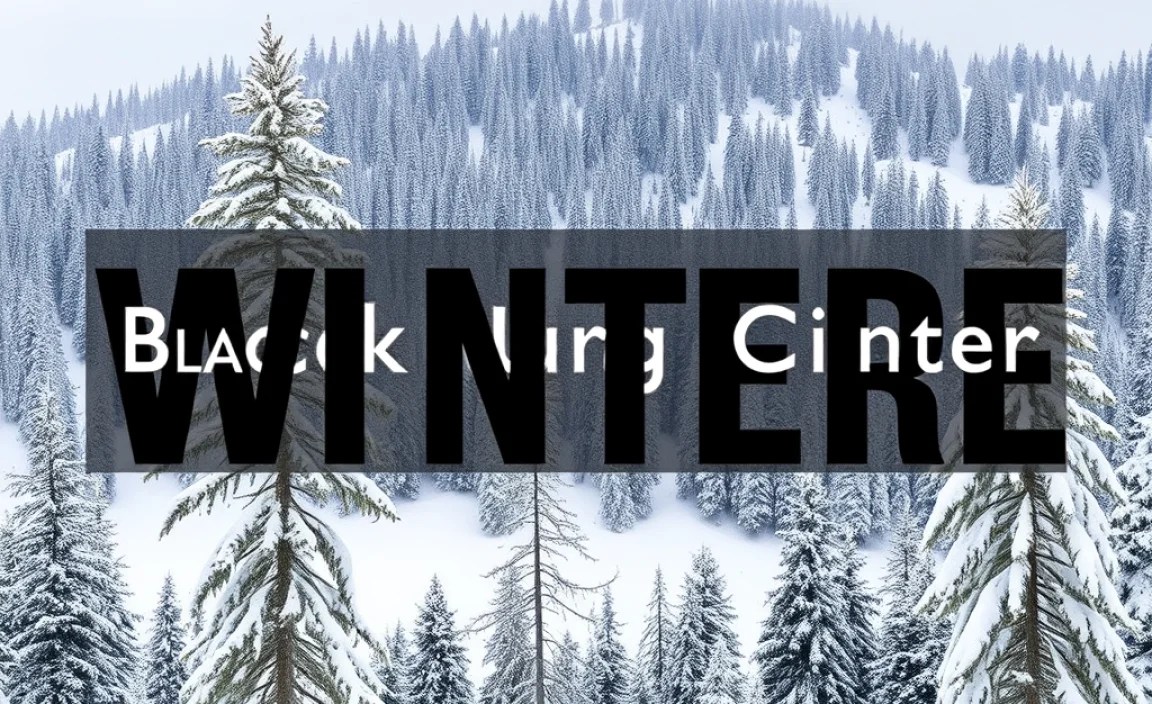Black Forest Winter Trip Guide: Essential Journey