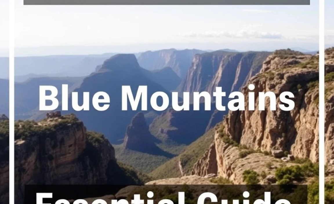 Blue Mountains 2 Weeks Itinerary: Essential Guide