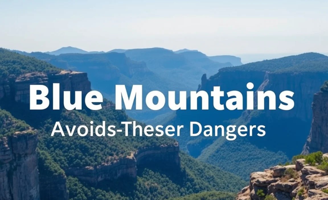 Blue Mountains: Avoid These Dangers, Find Safer Spots