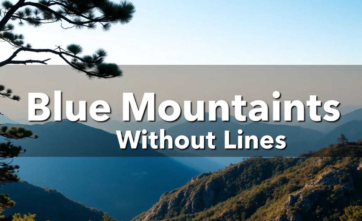 Blue Mountains Instagram Spots Without Lines: Stunning & Effortless