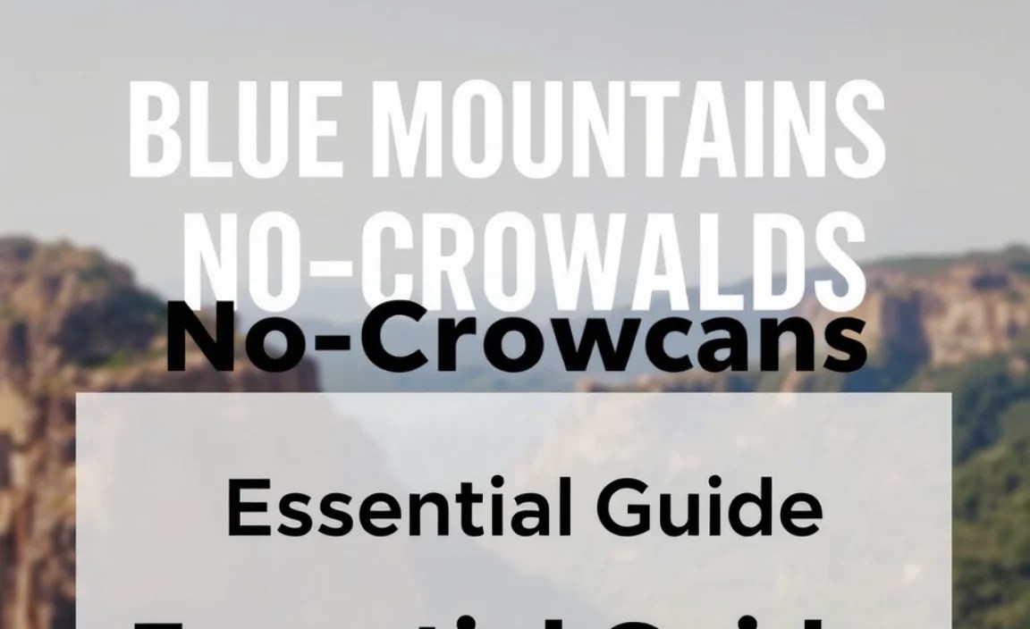 Blue Mountains No-Crowds Itinerary: Essential Guide