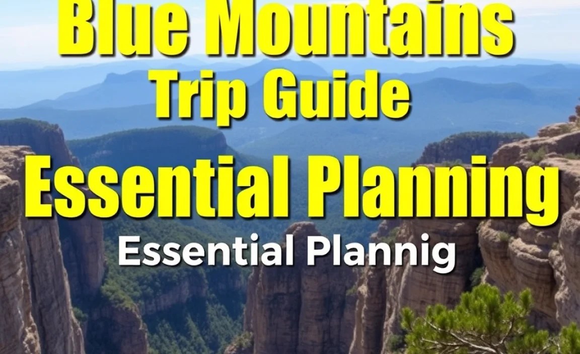 Blue Mountains Summer Trip Guide: Essential Planning