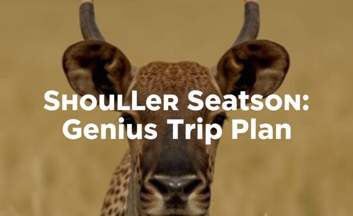 Botswana Shoulder Season: Genius Trip Plan