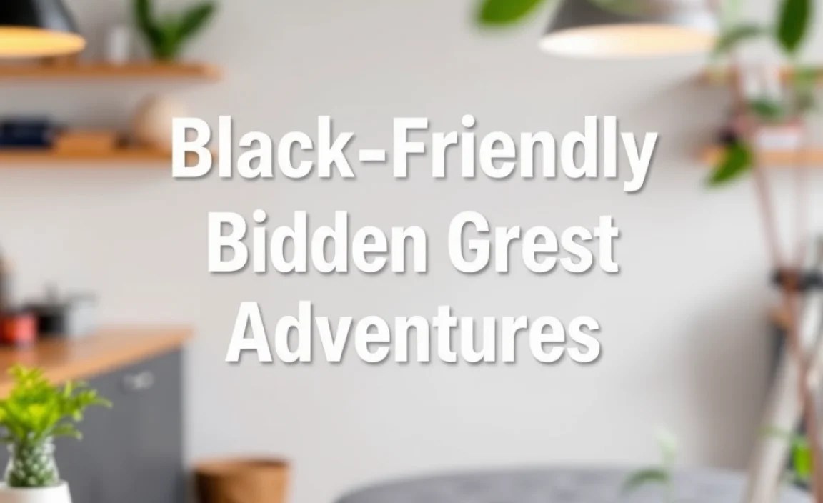 Budget-Friendly Black Forest Adventures