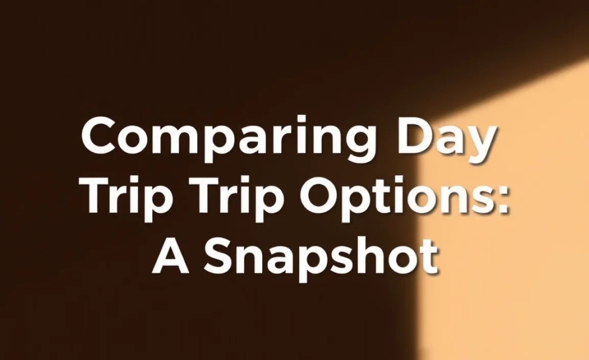 Comparing Day Trip Options: A Snapshot