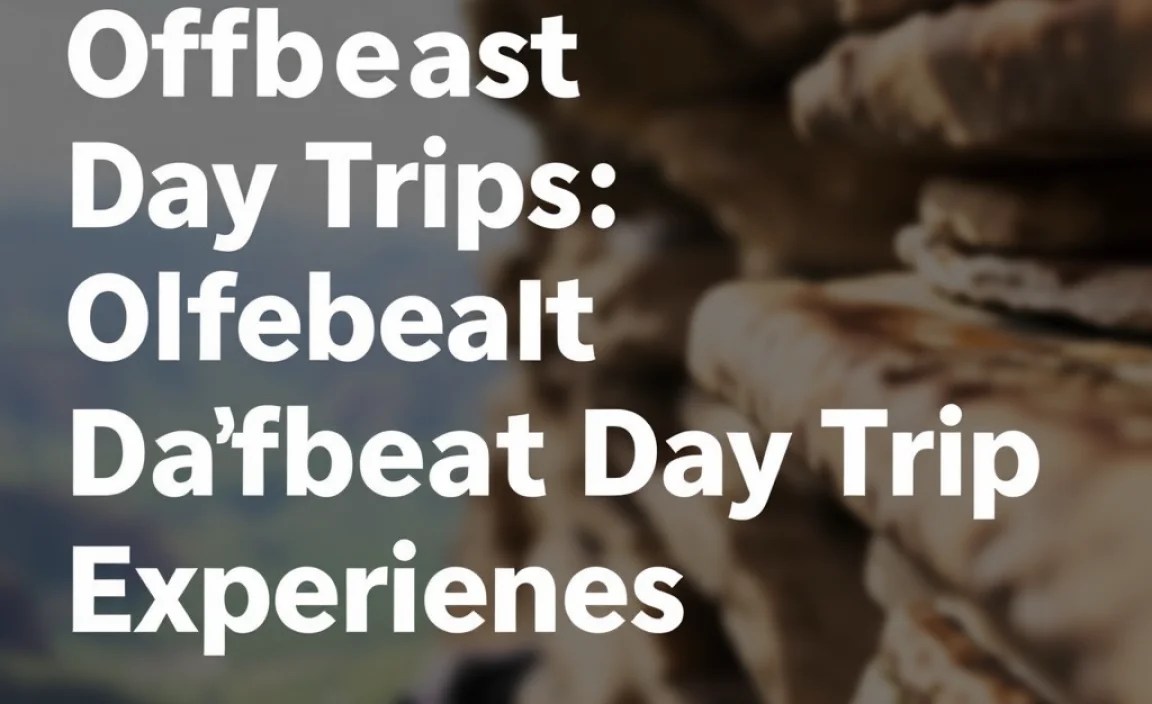 Comparing Offbeat Day Trip Experiences