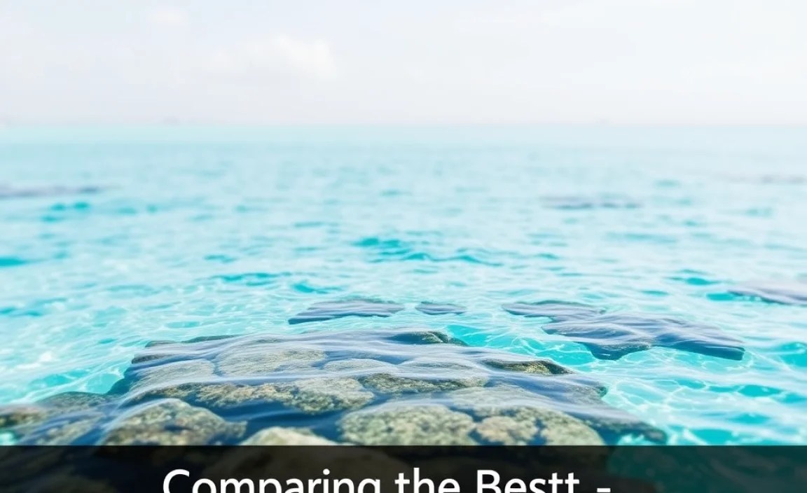 Comparing the Best Islands